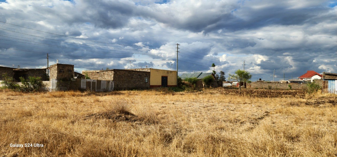 Graded internal roads across the estate