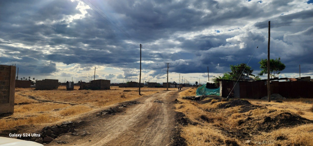 Graded internal roads across the estate