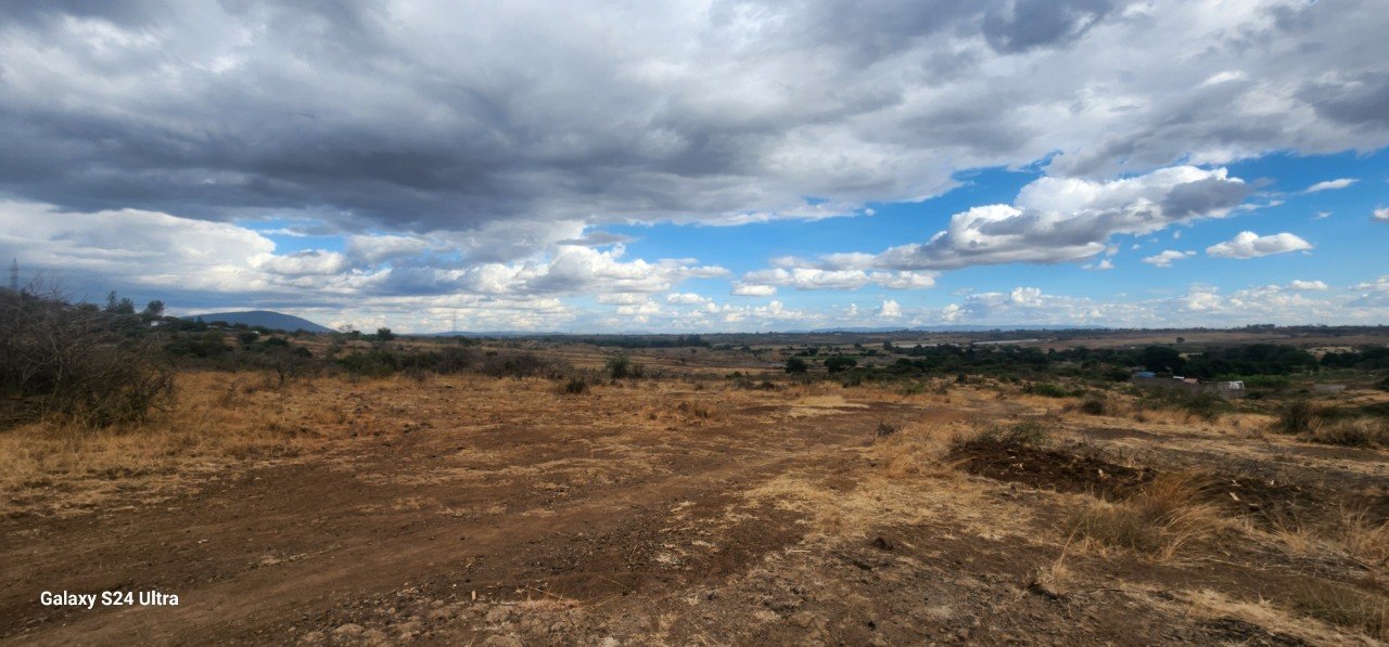 Where dreams come true — Mwanchu Empire